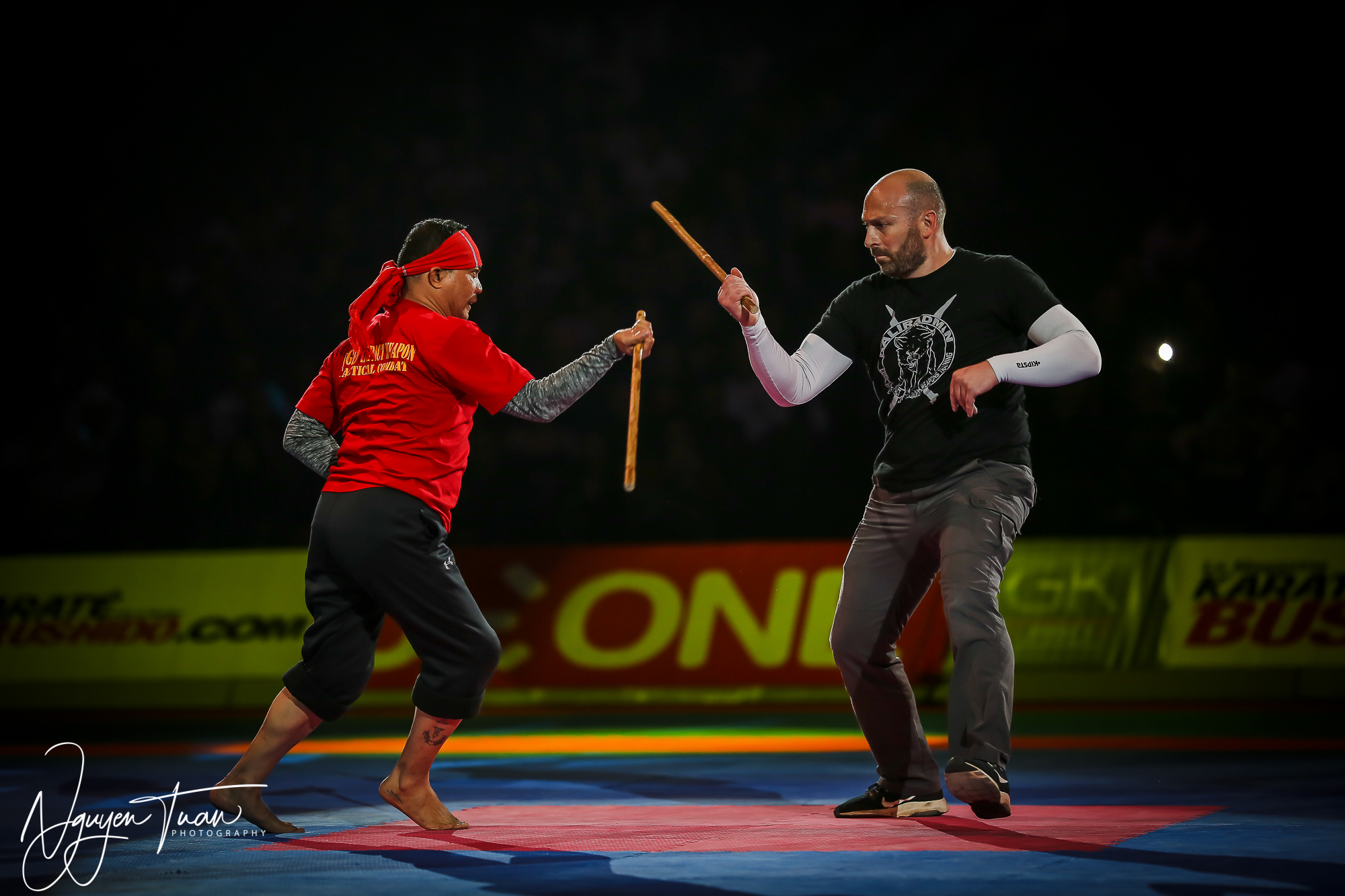 20190324 Festival des Arts Martiaux 3012